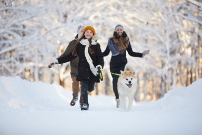 犬の散歩をする家族