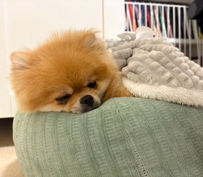 寝顔