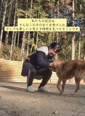 たどり着いて褒められる犬