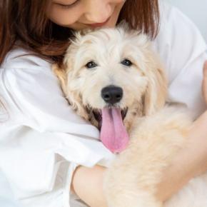『優しい性格の犬』に育てる5つの方法 性質はどう決まるの?穏やかなワンコにみられる共通点まで