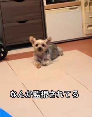 幸せそうな姿にホッコリ