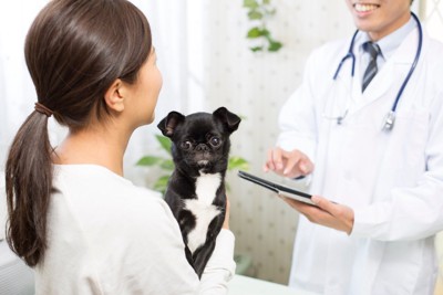 犬を抱きながら獣医師と会話する女性