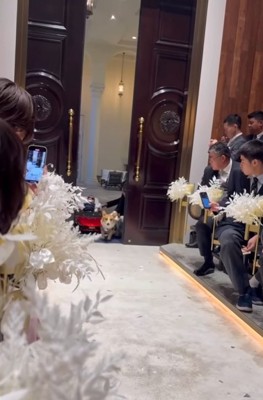 式場へ登場した中型犬%%スペシャルゲストのトロンくんが登場!