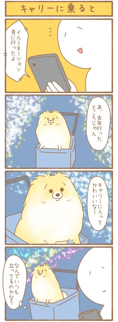 ただの犬好きです。【第340話】