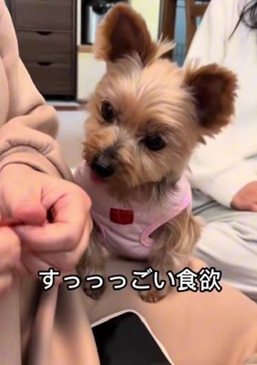 ご飯もたくさん食べるように