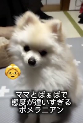 すのくん、ツンデレ