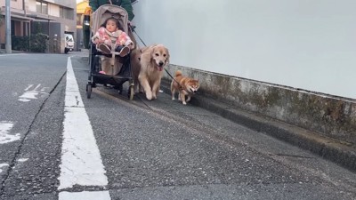 仲良しな3兄妹