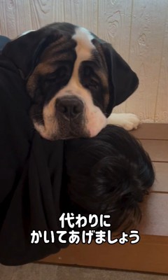 首をかくのが下手なむちゃ君7