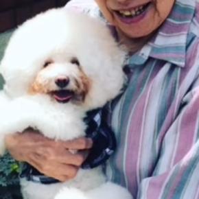 ひいおばあちゃんが亡くなる前『最後に撮った犬との写真』が表彰→涙溢れる『愛に溢れた作品』がSNSで話題「本当に素敵な話」と80万再生