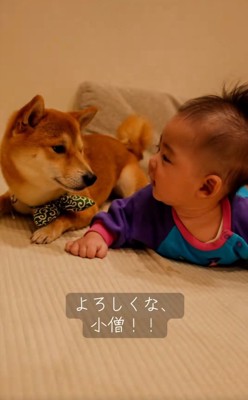 見つめあうふたり