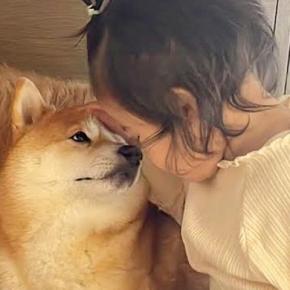 子供が苦手だった犬→1歳の女の子が『愛情を注いだ』結果…素敵すぎる『心を開いた様子』が20万再生「可愛すぎる」「心が穏やかになる」