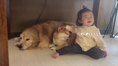 思わずニッコリのほのちゃん