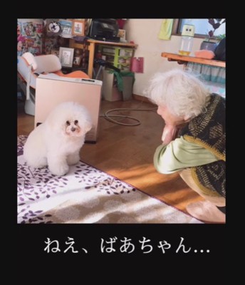 ひいおばあちゃんのことが大好き