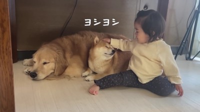 ヨシヨシと優しくなでたり…