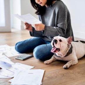 小型犬にかかる年間飼育費用とは?主な内訳や心構えしておくべき予想外の出費まで