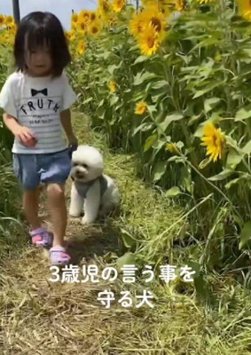 温かな日々が続きますように!