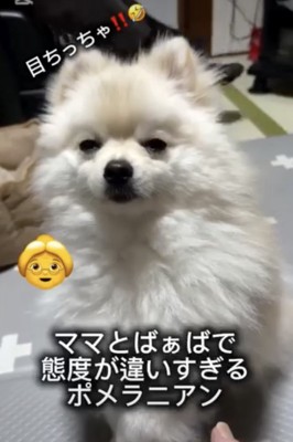 目がちっさい…