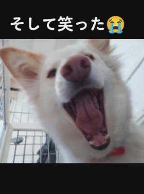 可愛い笑顔を見せるほどに！