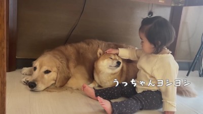 優しさ溢れる光景にホッコリ