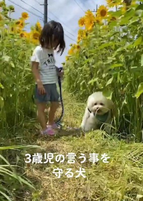 可愛い妹ができたよ