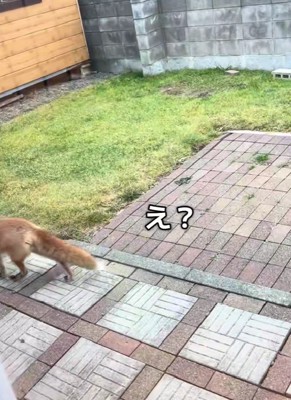 実家に遊びにきたら…