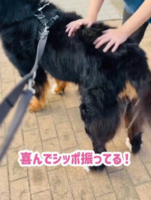 微笑ましすぎる一幕でした