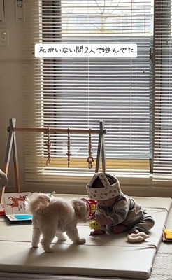 おもちゃで遊ぶワンコと赤ちゃん6