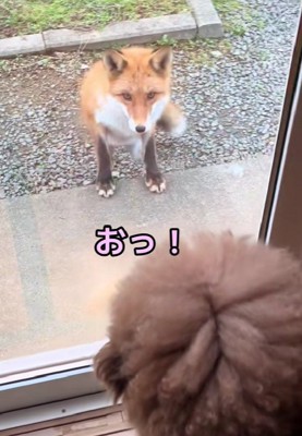 近づいてきた！！