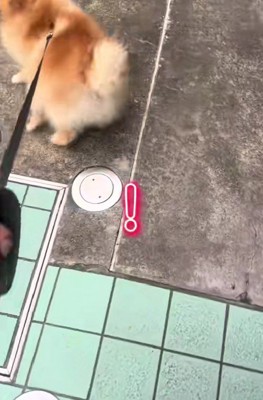 「ここ動物病院じゃん！！」