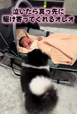 誰よりも早く赤ちゃんの元へ