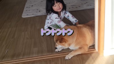 仲睦まじい姿にホッコリ