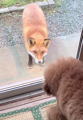 一球さんに興味津々