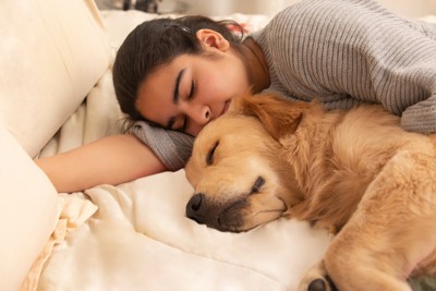 女性と一緒にベッドで眠るゴールデンレトリバー
