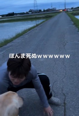 お散歩中のベイリーちゃんとパパ5