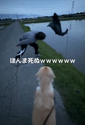 お散歩中のベイリーちゃんとパパ⑩