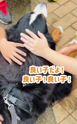 あまりに優しくされて…