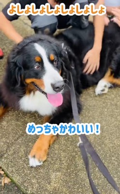 素敵な時間を過ごせたね