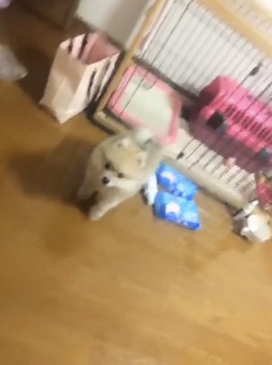 てくてく…