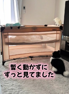 赤ちゃんに釘付けに!!