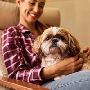 『ツンデレ』な犬種5選 クールに見えて意外と可愛い仕草や上手く関係性を築くコツまで