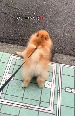 逃亡を図る！？