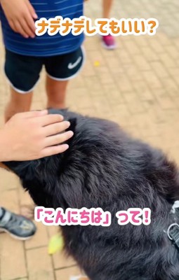 「触ってもいいですか?」