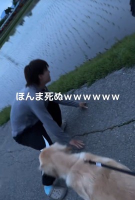 お散歩中のベイリーちゃんとパパ8