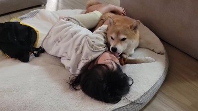 クッションの上で二度寝