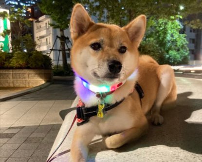 拒否