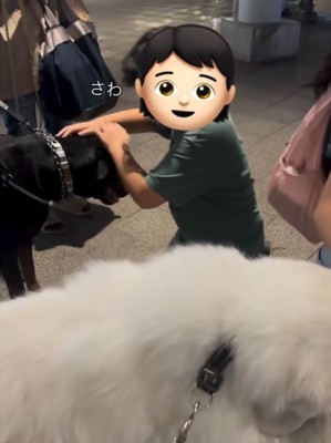 黒い犬を撫でる男の子
