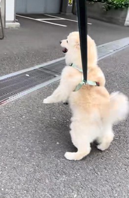 「推し」がいる場所♡