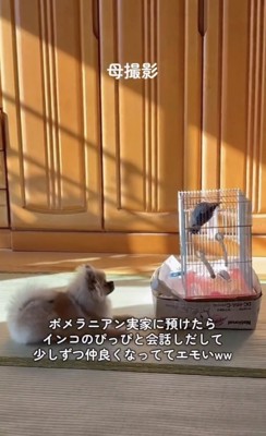 お互い気になってます