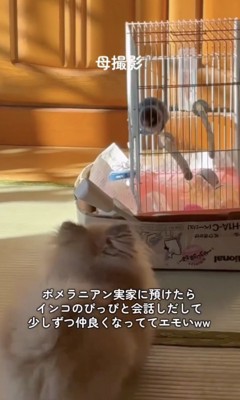 会話してる？
