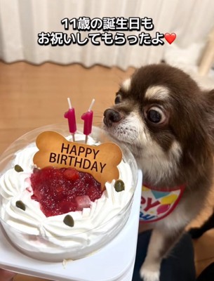 誕生日祝い